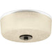 Progress P3620-20 Alexa Collection Two-Light 12-1/4" Flush Mount Alternate Image.jpg