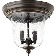 Progress P5562-20 Ashmore Collection Two-Light 10-1/2" Close-to-Ceiling Alternate Image.jpg