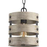Progress P500022-143 Gulliver Collection One-Light Graphite Coastal Pendant Light Alternate Image.jpg