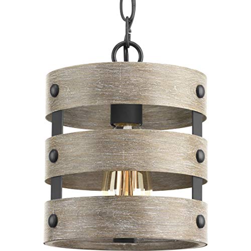 Progress P500022-143 Gulliver Collection One-Light Graphite Coastal Pendant Light Alternate Image.jpg