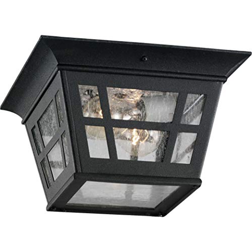 Generation Lighting 78131-12 Herrington Two Light Outdoor Flush Mount, Black Alternate Image.jpg