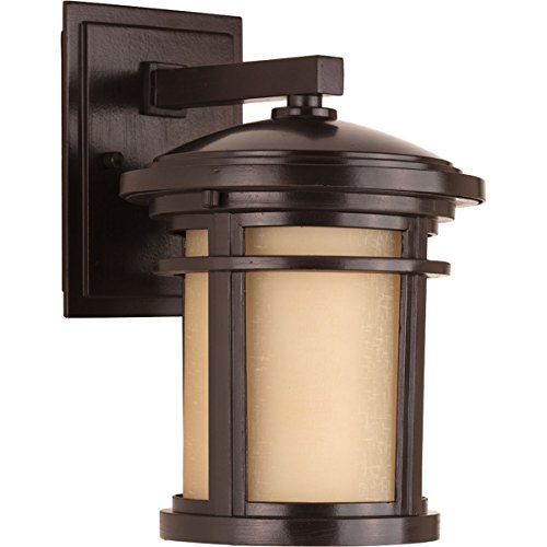 Progress P6084-20 Wish Collection One-Light Small Wall Lantern Alternate Image.jpg