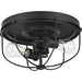 Progress P350195-143 Medal Collection Two-Light Graphite Industrial Style Flush Mount Ceiling Light Alternate Image.jpg