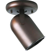 Progress P6147-174 One-Light Multi Directional Roundback Wall/Ceiling Fixture Alternate Image.jpg