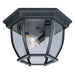 Capital Lighting 9802BK Three Light Outdoor Flush Mount, Black Alternate Image.jpg