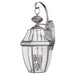 Generation Lighting 8039-965 Lancaster Two Light Outdoor Wall Lantern, Antique Brushed Nickel Alternate Image.jpg