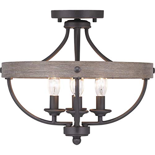 Progress P350117-143 Gulliver Collection Four-Light 14-1/4" Semi-Flush Convertible Alternate Image.jpg
