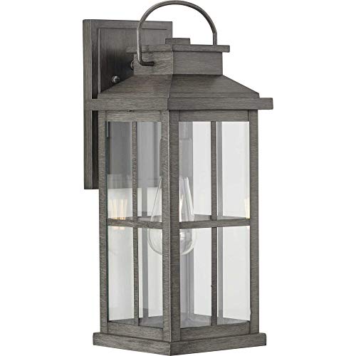 Progress P560266-103 Williamston Collection One-Light Antique Pewter and Clear Glass Transitional Style Large Outdoor Wall Lantern Alternate Image.jpg