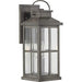 Progress P560266-103 Williamston Collection One-Light Antique Pewter and Clear Glass Transitional Style Large Outdoor Wall Lantern Alternate Image.jpg