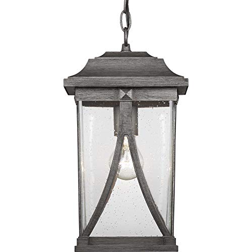 Progress P550040-103 Abbott Collection One-Light Hanging Lantern Alternate Image.jpg