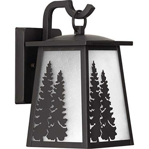 Progress P560161-020 Torrey Collection Antique Bronze One-Light Small Wall Lantern Alternate Image.jpg