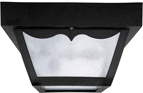 Capital Lighting 9239BK Two Light Outdoor Flush Mount, Black Alternate Image.jpg