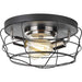 Progress P350037-143 Gauge Collection Two-Light Flush Mount Alternate Image.jpg