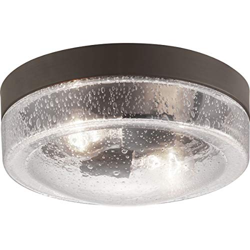 Progress P550042-129 Weldon Collection Two-Light Flush Mount Alternate Image.jpg