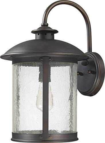 Capital Lighting 9563OB Dylan One Light Outdoor Wall Lantern, Old Bronze Alternate Image.jpg