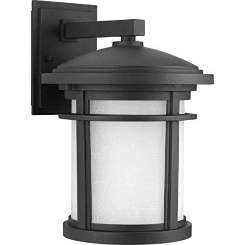 Progress P6085-3130K9 Wish Collection One-Light Medium LED Wall Lantern Alternate Image.jpg