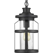 Progress P550031-031 Haslett Collection One-Light Hanging Lantern Alternate Image.jpg