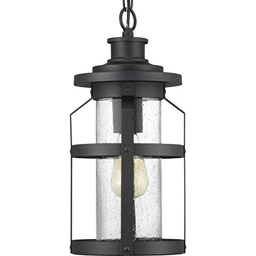 Progress P550031-031 Haslett Collection One-Light Hanging Lantern Alternate Image.jpg