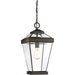 Quoizel RAV1910WT Ravine One Light Outdoor Hanging Lantern, Western Bronze Alternate Image.jpg