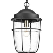 Progress P550025-031 Holcombe Collection Hanging Lantern Alternate Image.jpg