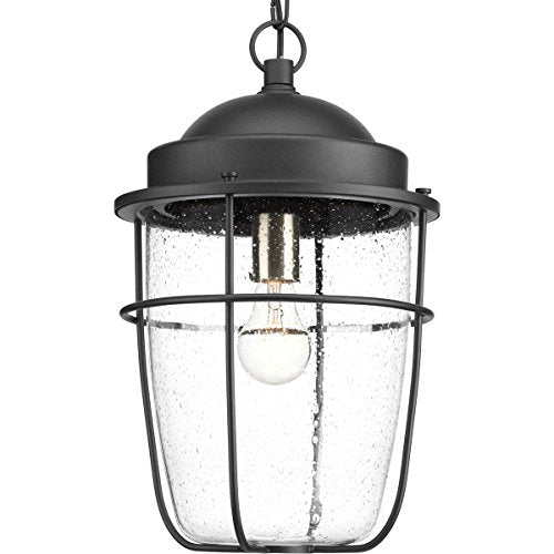 Progress P550025-031 Holcombe Collection Hanging Lantern Alternate Image.jpg
