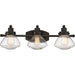 Quoizel SCH8603PN Scholar Three Light Bath Fixture, Palladian Bronze Alternate Image.jpg