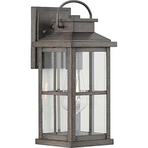 Progress P560265-103 Williamston Collection One-Light Antique Pewter and Clear Glass Transitional Style Medium Outdoor Wall Lantern Alternate Image.jpg