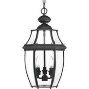 Progress P6533-31 New Haven Collection Three-Light Hanging Lantern Alternate Image.jpg