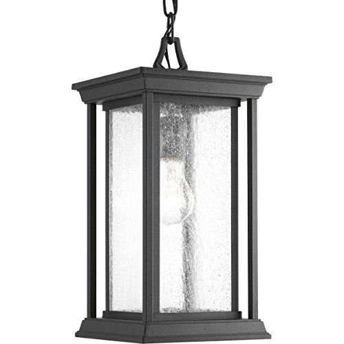 Progress P5500-31 Endicott Collection One-Light Hanging Lantern Alternate Image.jpg