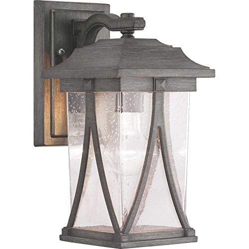 Progress P560113-103 Abbott Collection One-Light Small Wall Lantern Alternate Image.jpg