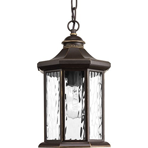 Progress P6529-20 Edition Collection One-Light Hanging Lantern Alternate Image.jpg