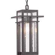 Progress P550039-020 Boxwood Collection One-Light Hanging Lantern Alternate Image.jpg
