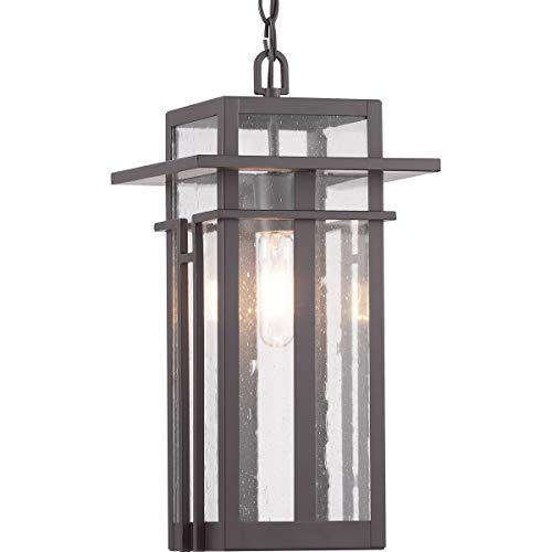 Progress P550039-020 Boxwood Collection One-Light Hanging Lantern Alternate Image.jpg
