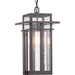 Progress P550039-020 Boxwood Collection One-Light Hanging Lantern Alternate Image.jpg