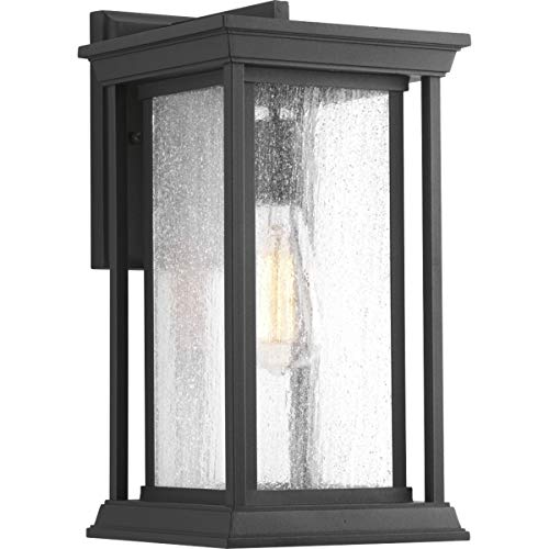 Progress P5610-31 Endicott Collection One-Light Medium Wall Lantern Alternate Image.jpg