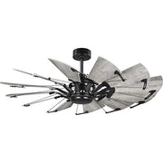 Progress P250065-31M Springer Collection 52-Inch Matte Black 12-Blade DC Motor Windmill Ceiling Fan Alternate Image.jpg