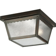 Progress P5729-31 Two-Light 9-1/4" Flush Mount for Indoor/Outdoor use Alternate Image.jpg