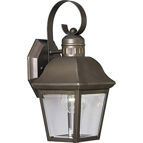 Progress P5687-20 Andover Collection One-Light Small Wall Lantern Alternate Image.jpg