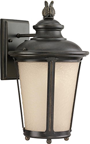 Generation Lighting 88241EN3-780 Cape May One Light Outdoor Wall Lantern, Burled Iron Alternate Image.jpg