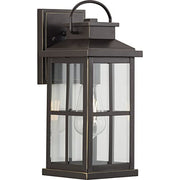 Progress P560265-020 Williamston Collection One-Light Antique Bronze and Clear Glass Transitional Style Medium Outdoor Wall Lantern Alternate Image.jpg
