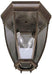 Kichler 9886TZ Two Light Outdoor Ceiling Mount, Tannery Bronze Alternate Image.jpg