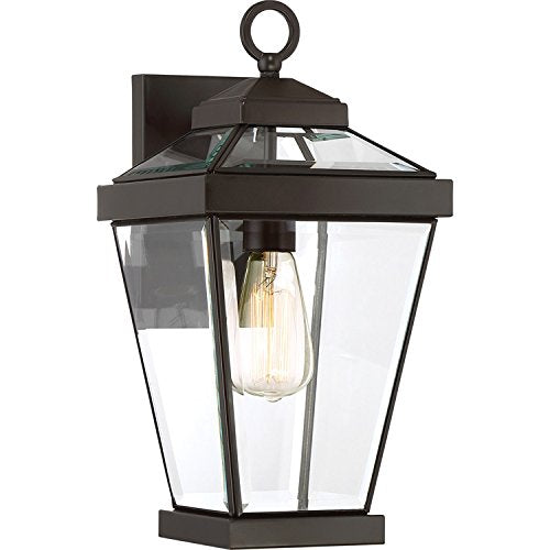 Quoizel RAV8408WT Ravine One Light Outdoor Wall Lantern, Western Bronze Alternate Image.jpg