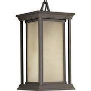 Progress P5500-20 Endicott Collection One-Light Hanging Lantern Alternate Image.jpg