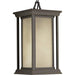 Progress P5500-20 Endicott Collection One-Light Hanging Lantern Alternate Image.jpg