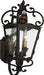 Minka-Lavery 9332-270 Brixton Ivy Two Light Outdoor Lantern, Terraza Village Aged Patina Alternate Image.jpg