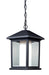 Z-Lite 523CHM Mesa One Light Outdoor Chain Mount Ceiling Fixture, Black Main Image.jpg