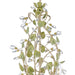Crystorama 4846-CT Josie Six Light Chandelier Champagne Green Tea Alternate Image 2.jpg