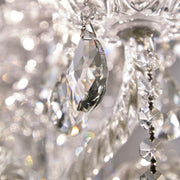 Crystorama 1135-CH-CL-SAQ Traditional Crystal 12 Light Chandelier Polished Chrome Alternate Image.jpg