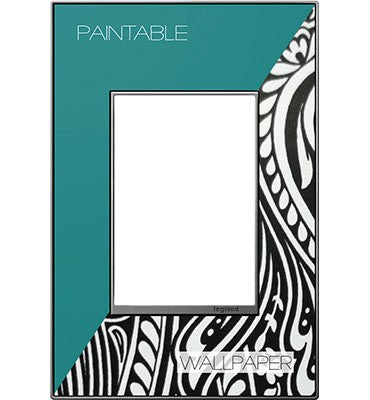 adorne® AWM1G3M4 Custom One-Gang-Plus Screwless Wall Plate, Magnesium Trim Main Image.jpg