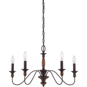 Quoizel HK5005TC Holbrook Five Light Chandelier, Tuscan Brown Alternate Image.jpg